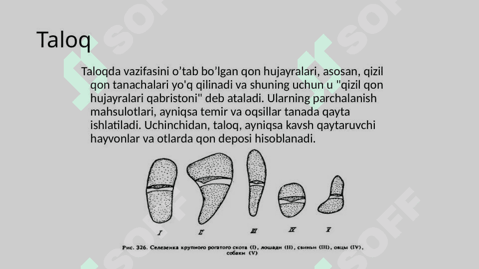 Taloq 2