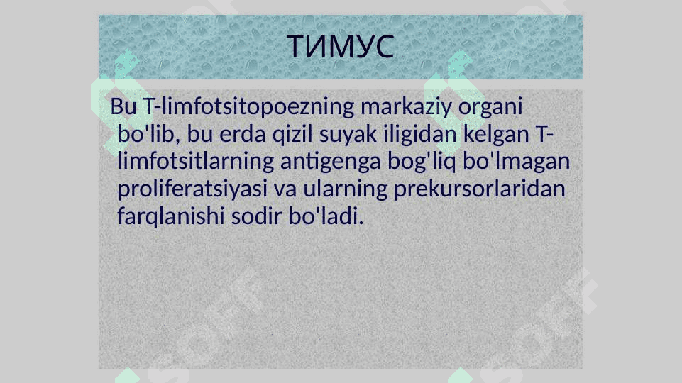 Тимус ва фабрициус халтаси 5