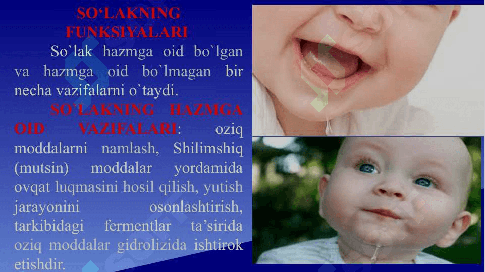 OSHQOZON-ICHAK BIOKIMYOSI 2