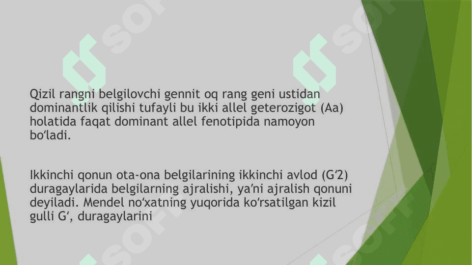 Mendelning 1- 2- 3- qonunlari. Allel va noallel Gellar ta’siri. 6