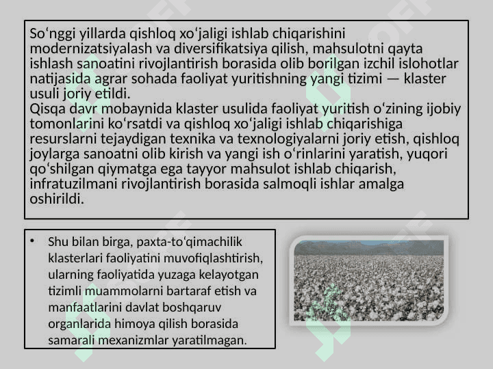 PAXTACHILIK KLASTERINING RIVOJLANISHI 2