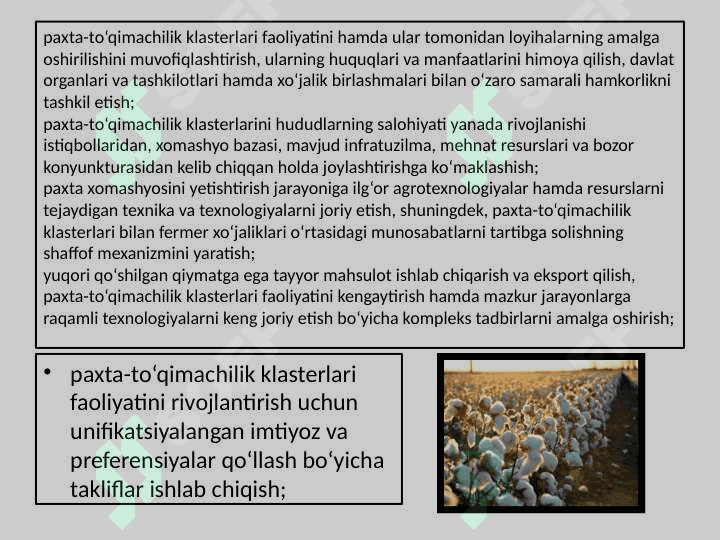 PAXTACHILIK KLASTERINING RIVOJLANISHI 4