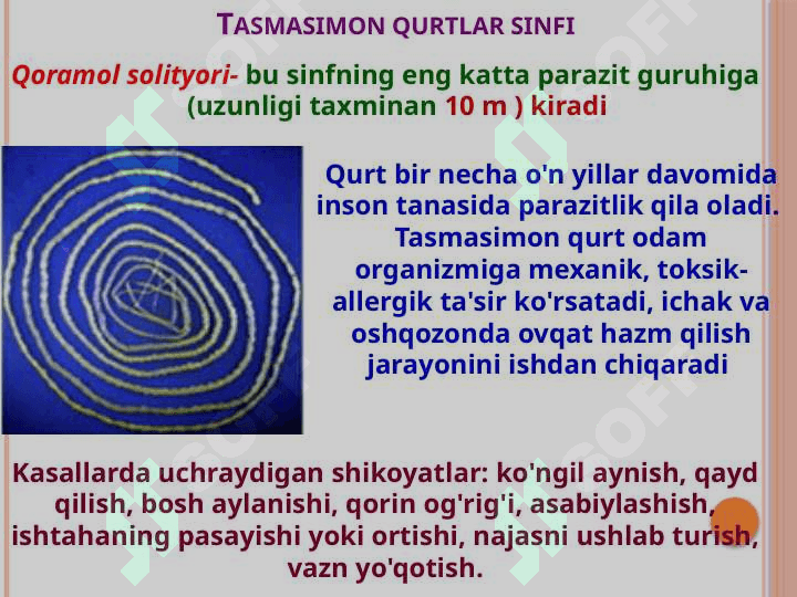 Odamlarda parazitlik qiladigan tasmasimonlar: cho'chqa va qoramol solityori 4