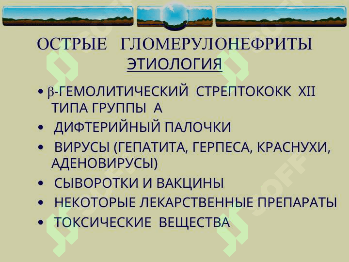ГЛОМЕРУЛОНЕФРИТЫ 7