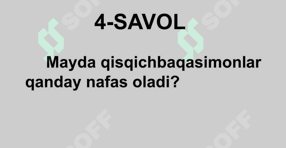 HAYVONLARNING QON AYLANISH ORGANLARI EVOLUTSIYASI 8