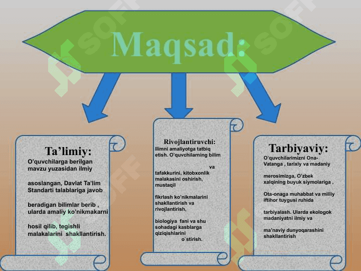 ”HUJAYRA VA UNING TARKIBIY QISMLARI” 2