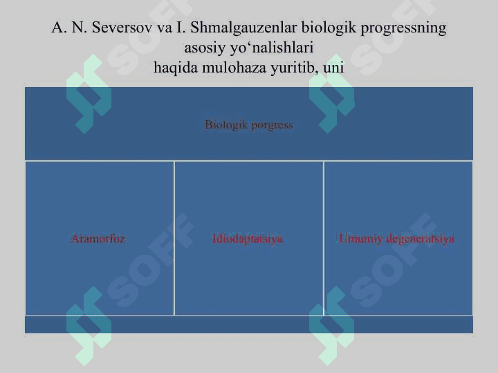 Organik olam evolyutsiyasinig asosiy yo‘nalishlari 4