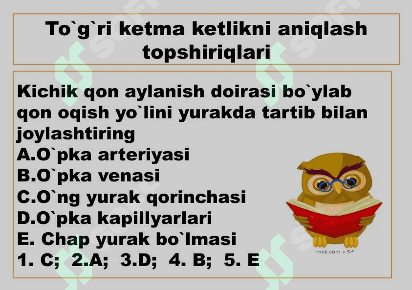 8- sinf Odam va uning salomatligi 3