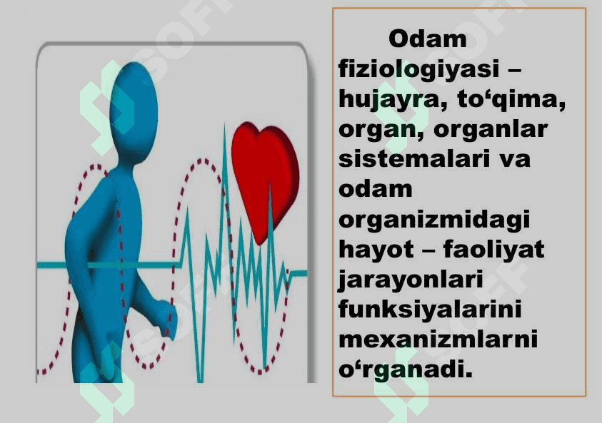 8- sinf Odam va uning salomatligi 7