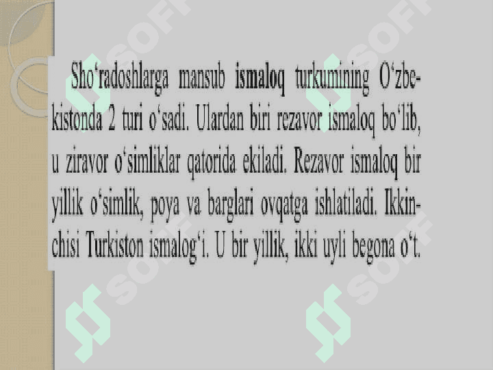Sho`radoshlar oilasi 4