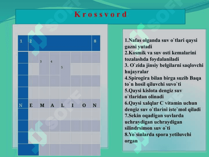 Qirqbo`g`imlar mavzusida 8