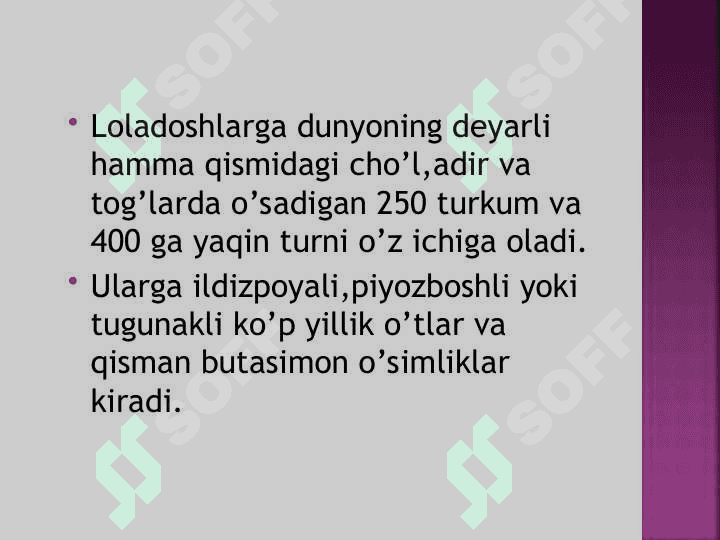 loladoshlar oilasi 4