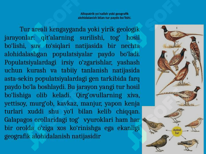 TURLARNING PAYDO BO`LISHI 8