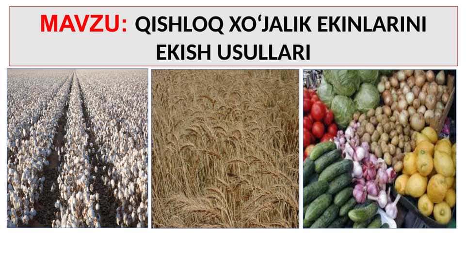 QISHLOQ XO‘JALIK EKINLARINI EKISH USULLARI
