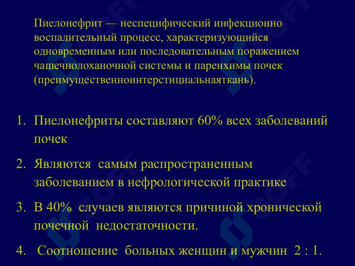 Пиелонефрит 2