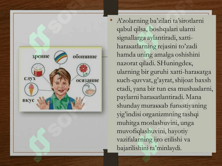 Xulq-atvorning psixofiziologik asosi 8