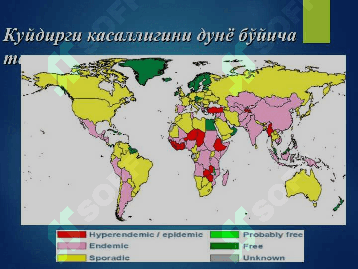 Kuydirgi 6