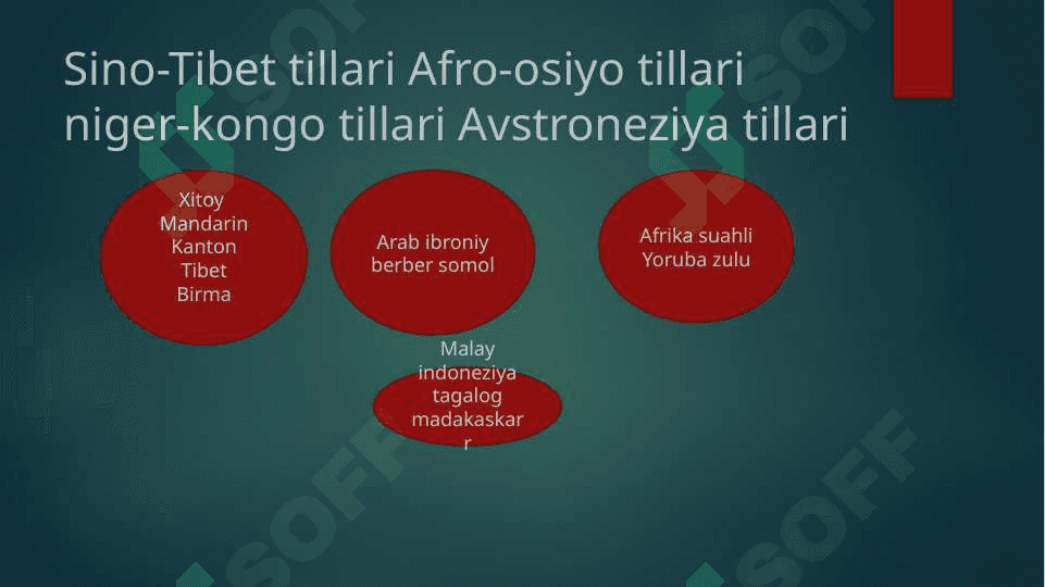 Tillar shajarasi 2