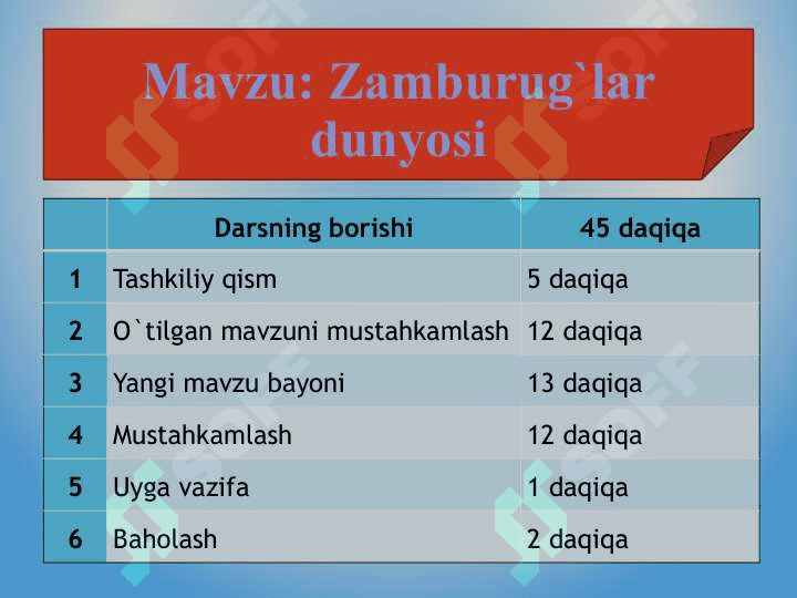 “Zamburug‘lar dunyosi ” 2