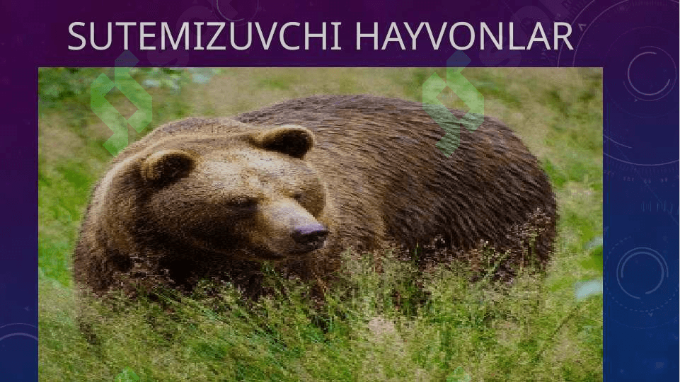 HAYVONLAR SISTEMATIKASINI O‘RGANISH 2