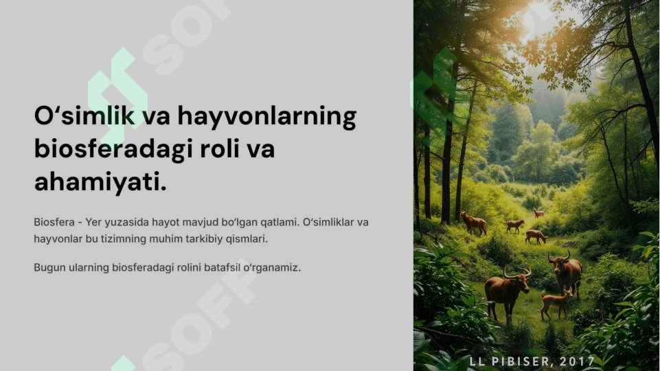 O‘simlik va hayvonlarning biosferadagi roli va ahamiyati 3