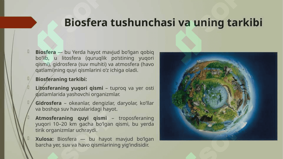 O‘simlik va hayvonlarning biosferadagi roli va ahamiyati 4