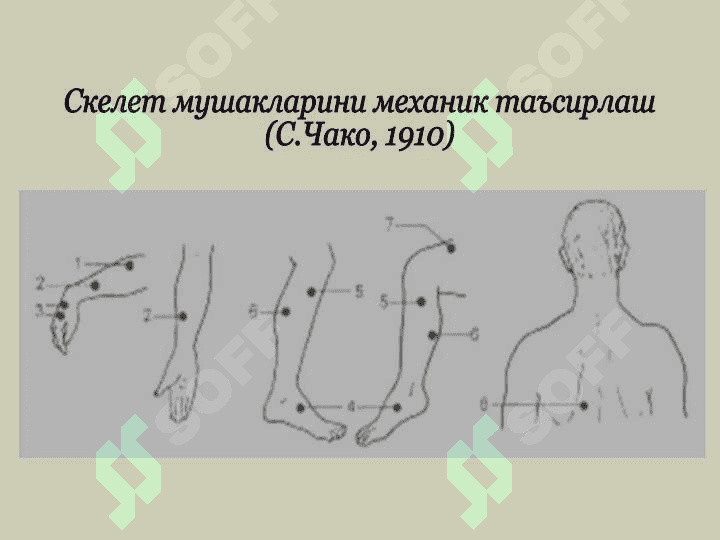 Суд-тиббий танатология 8