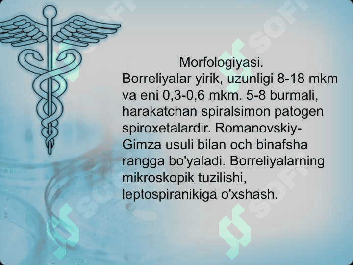 Borrelioz. Etiologiyasi, klinikasi, diagnostika, davolash 3