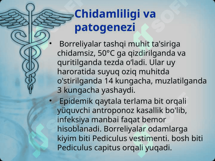 Borrelioz. Etiologiyasi, klinikasi, diagnostika, davolash 4