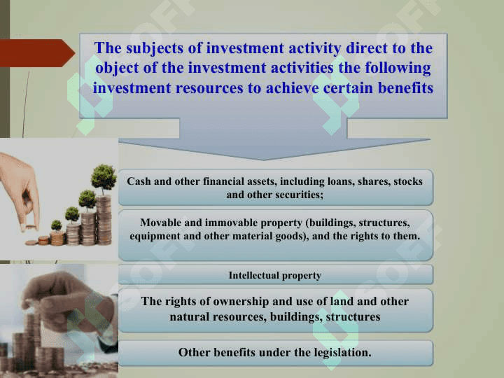 Investment activities ​​and investment policy 5