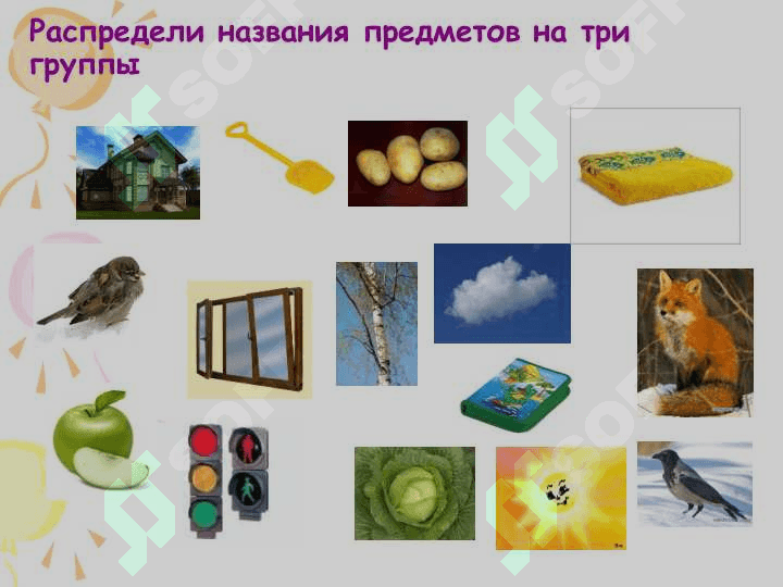 Род имён существительных 4
