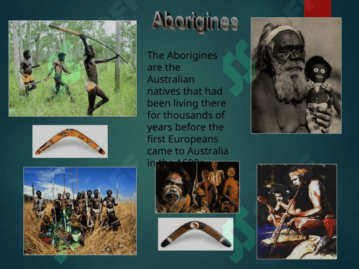 Welcome to Australia 6