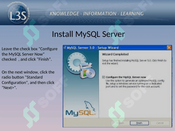 mysqlni o'rnatish 8