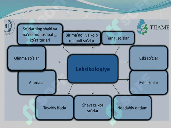 Leksikologiya 5