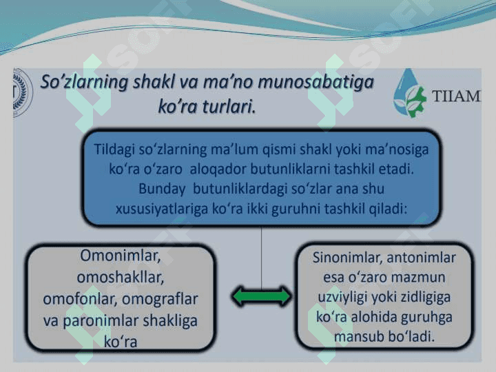 Leksikologiya 6