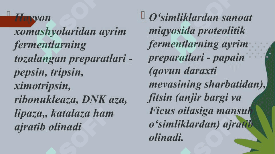 TOZA FERMENTLAR AJRATIB OLISH USULLARI 8