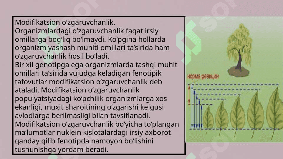 Modifikatsion o’zgaruvchanlikModifikatsion o’zgaruvchanlik 3