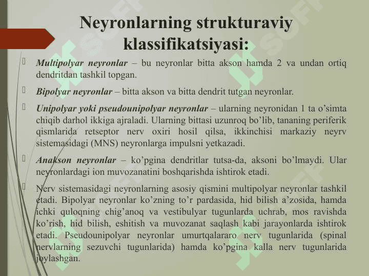 NEYRON TURLARI 4