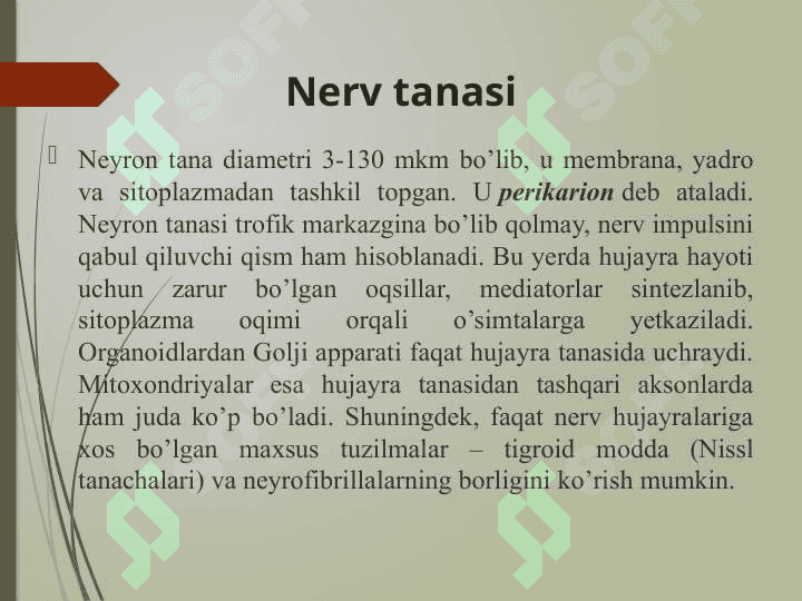 NEYRON TURLARI 7