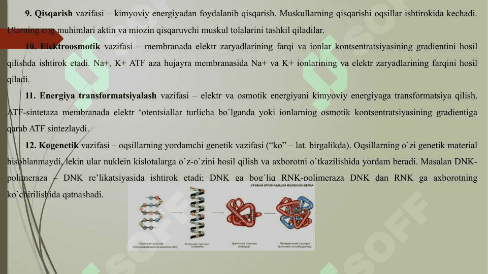 Oqsillarning kimyoviy xususiyatlari 8