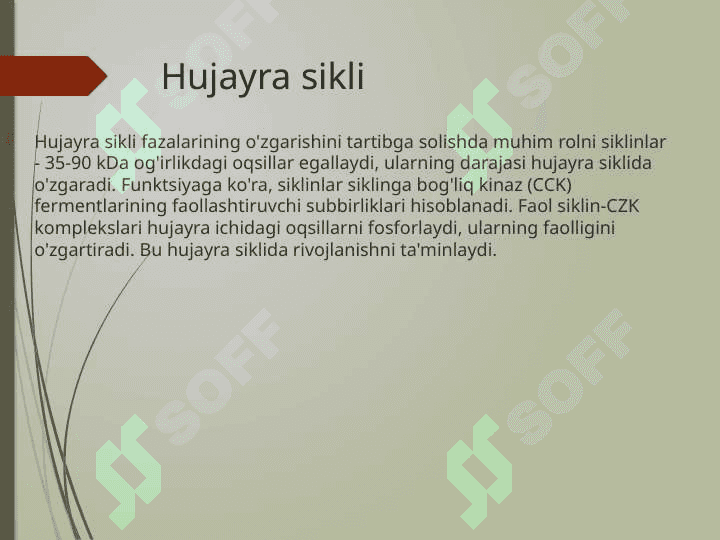 Prokariot va eukariot DNK polemerazaari 8