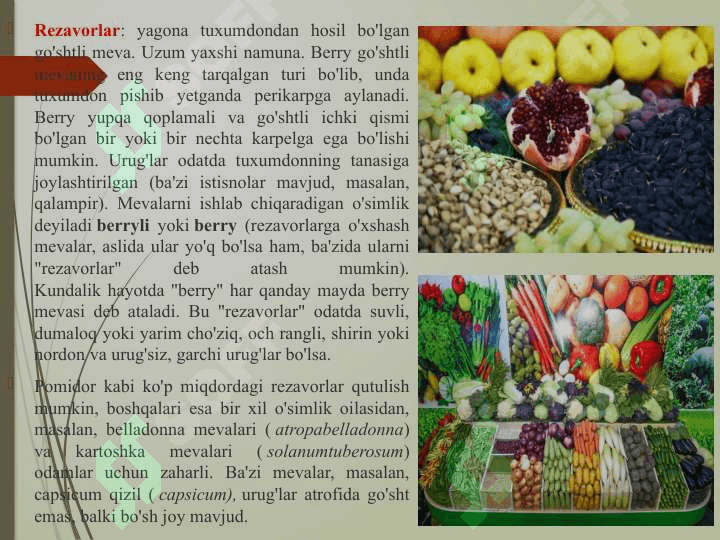 Yangi meva va rezavorlar to’g’risida umumiy ma’lumotlar 4