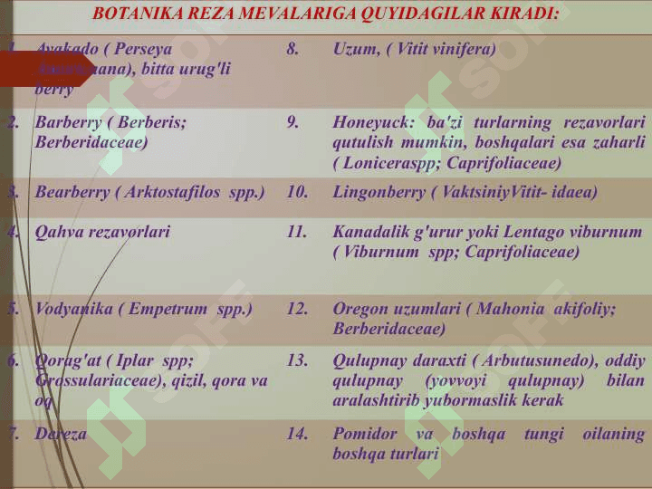 Yangi meva va rezavorlar to’g’risida umumiy ma’lumotlar 5