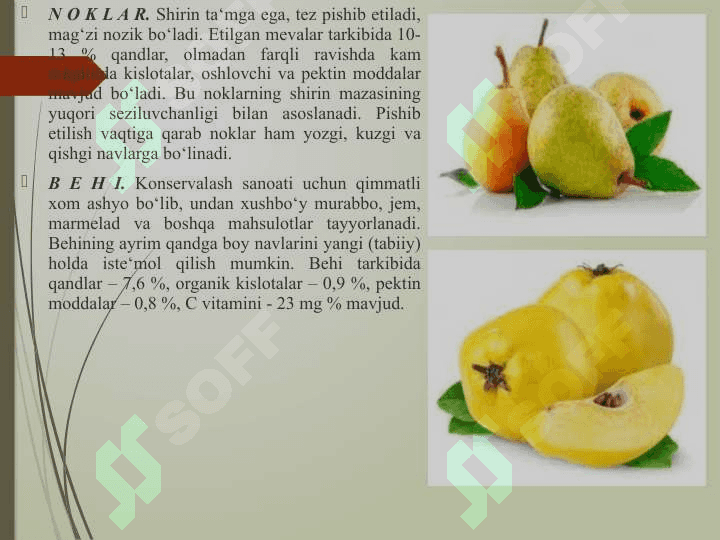 Yangi meva va rezavorlar to’g’risida umumiy ma’lumotlar 8
