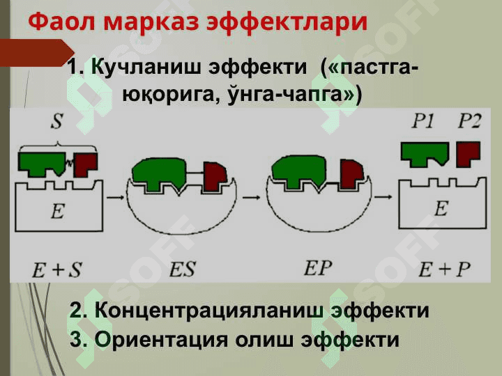 Ферментлар классификациясиФерментлар классификацияси 7