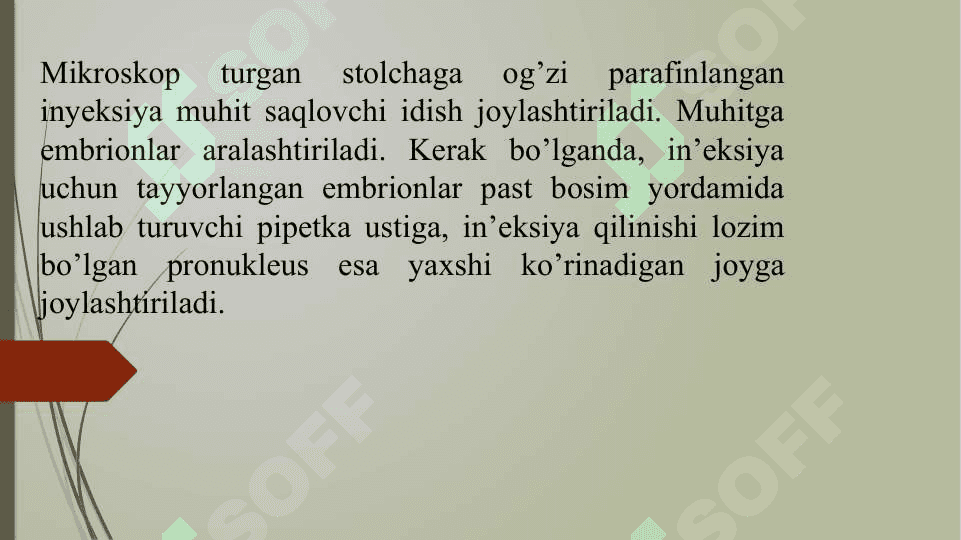 HAYVONLARDA GEN MUHANDISLIGI 4