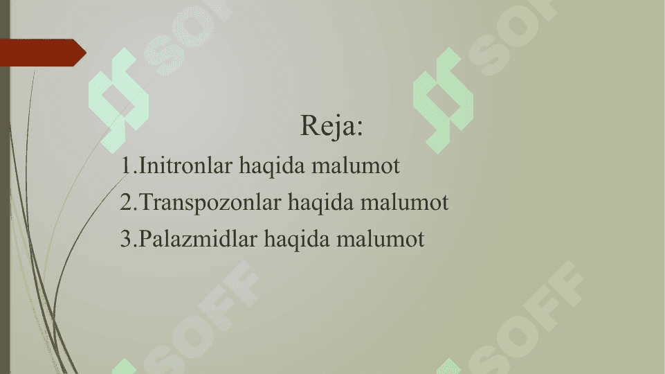 Initronlar, transpozonlar, plazmidlar 2