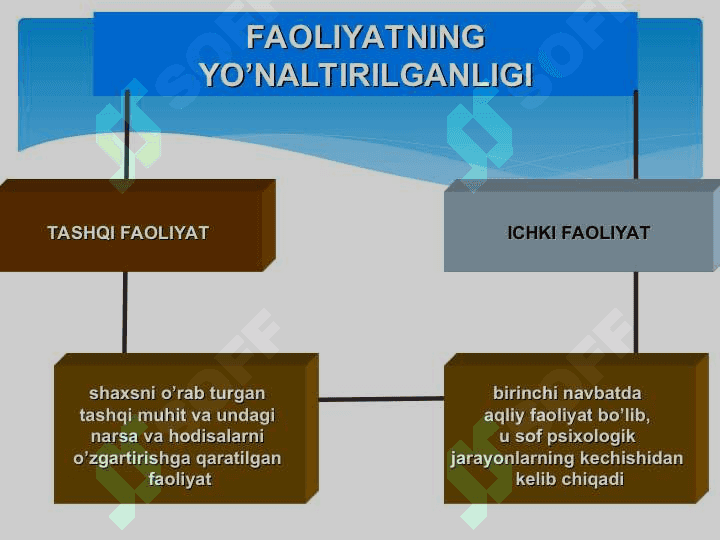 Shaxs faoliyati 6