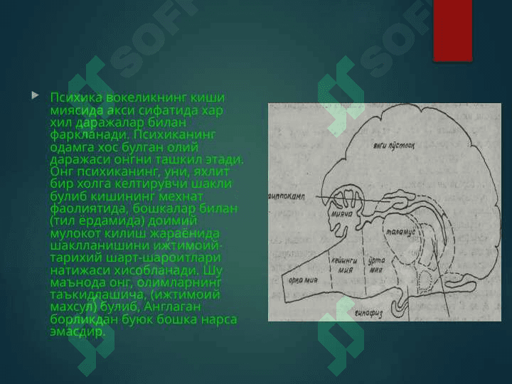 Ong haqidagi psixologik tasavvurlar 2