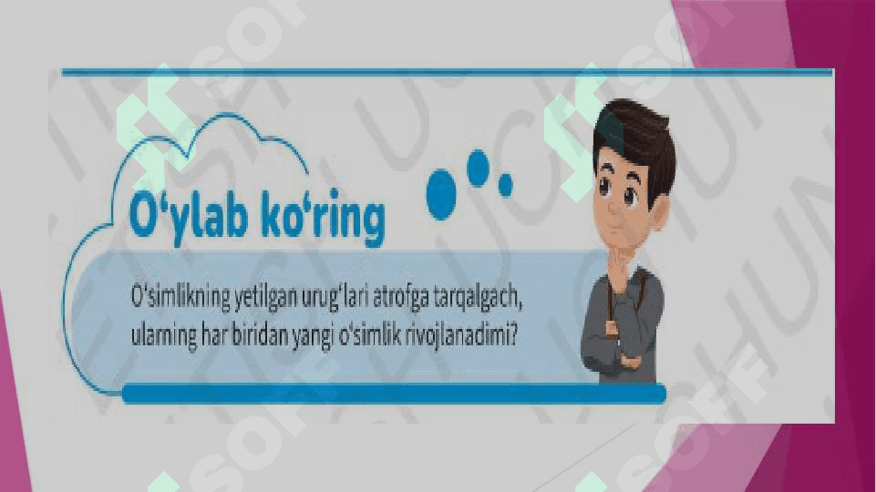 Urug`larning unib chiqishi. 2